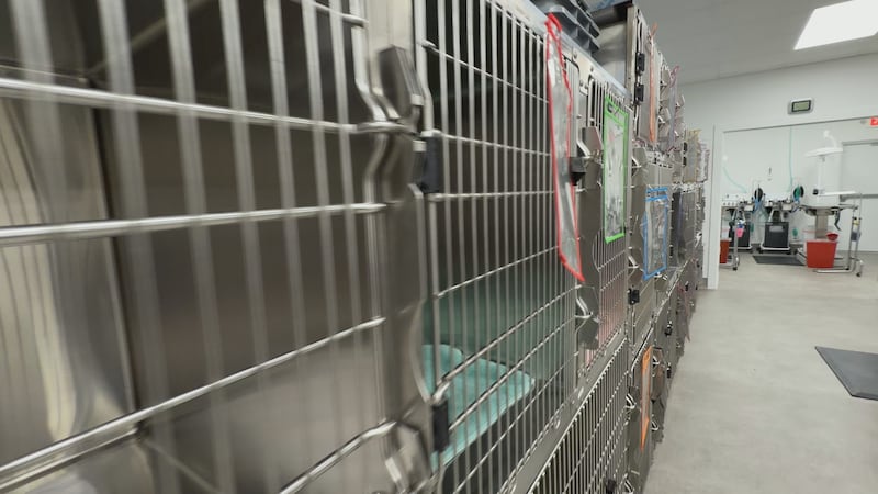 Emancipet vet clinic opens bigger Killeen facility to cut pet care costs