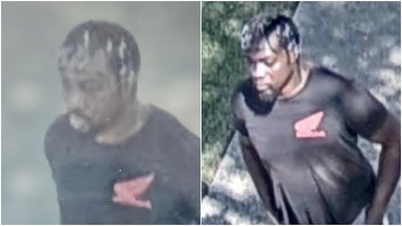 Williamson County sheriff's deputies are investigating a homicide at Chandler Creek Park in...