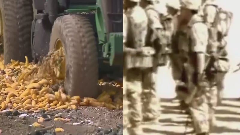 Military Veteran farmers in Central Texas face mounting challenges