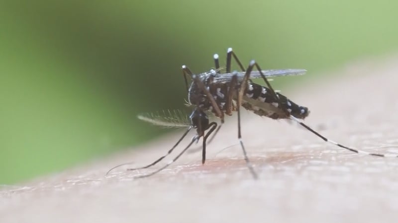 West Nile Virus contracted by Duluth woman in BWCA.