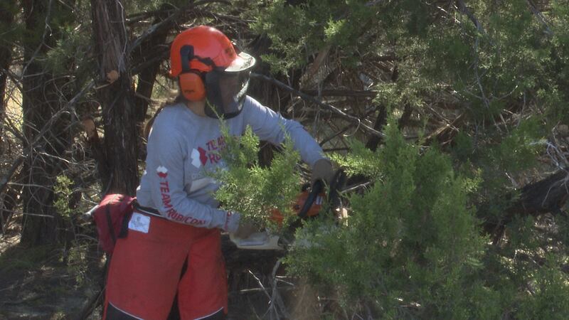 Veteran with True Rubicon cuts Juniper at Dana Peak Park