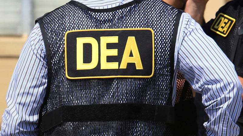 Elementos de la Agencia Antidrogas de Estados Unidos, el 13 de junio de 2016, en Florida. (Joe...