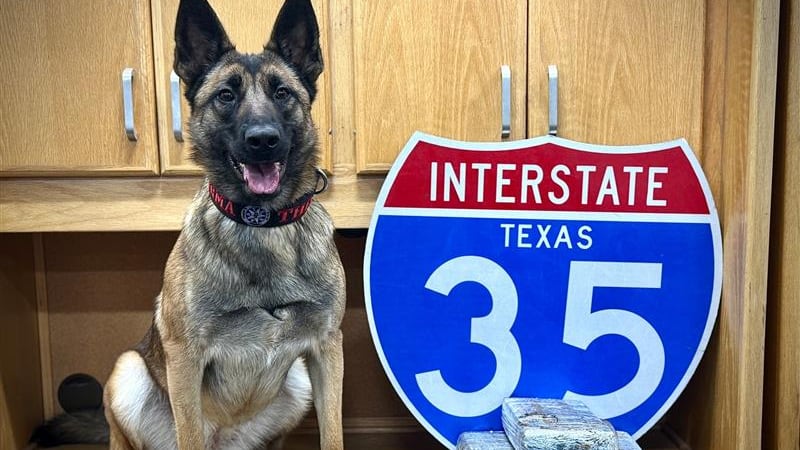 Un canino de Texas detecta 15 libras de cocaína en un control de tráfico