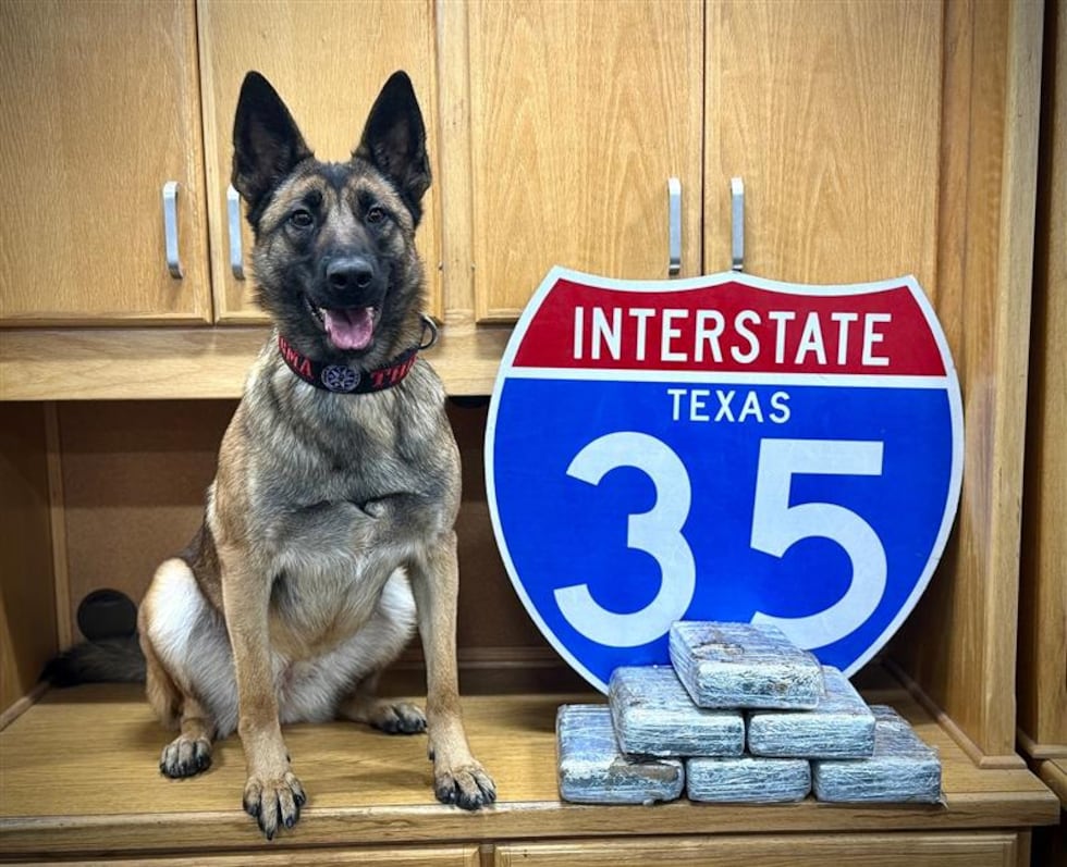 Un canino de Texas detecta 15 libras de cocaína en un control de tráfico