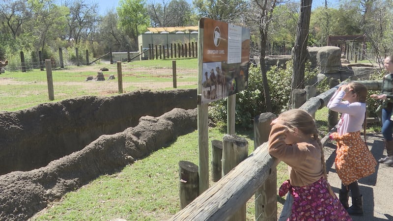 10 to Protect: Cameron Park Zoo