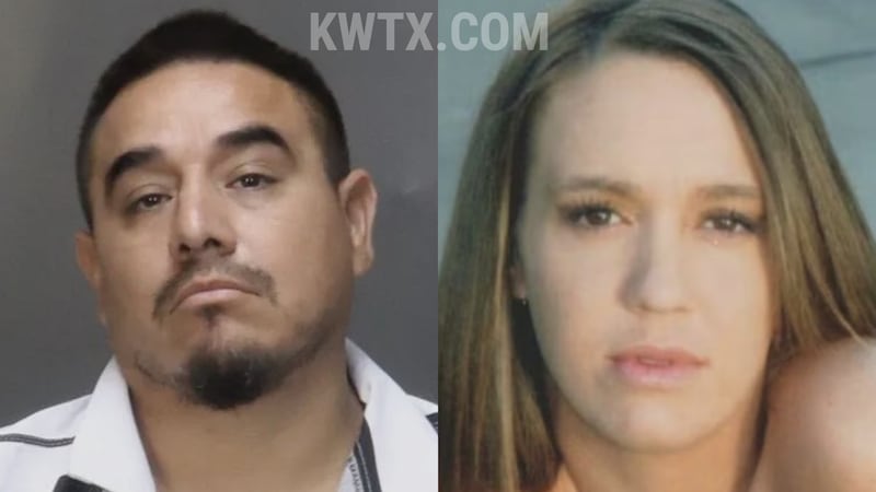 Omar Dominguez Martinez pleaded guilty in the July 2017 hit-and-run that claimed the life of...