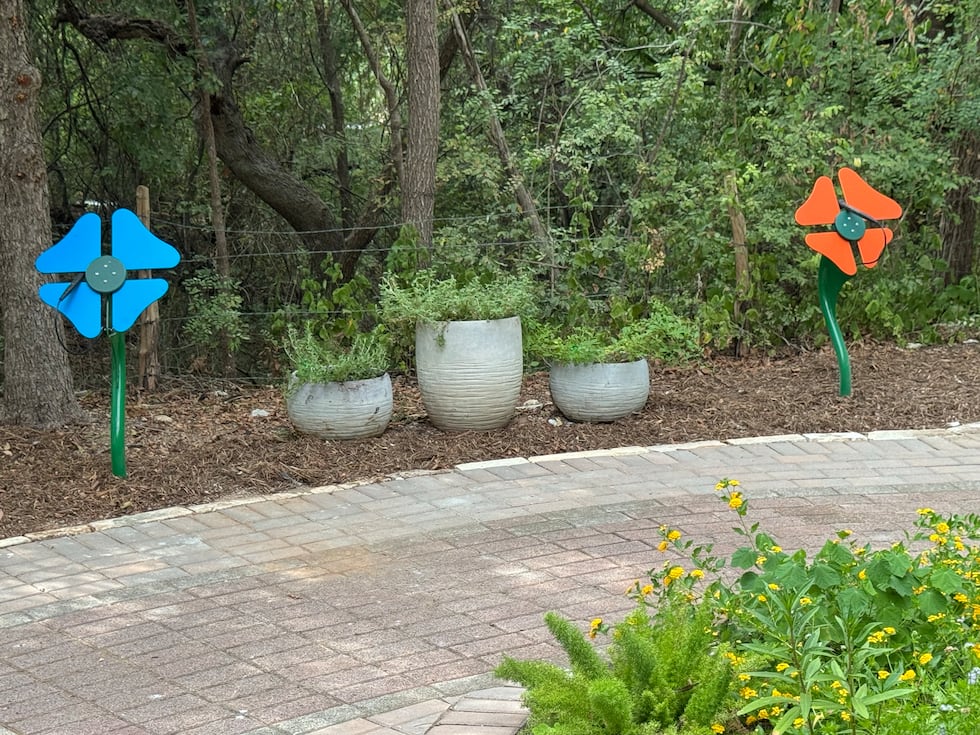El renovado Jardín de Mariposas del Zoológico Cameron Park reabre para el fin de semana del...