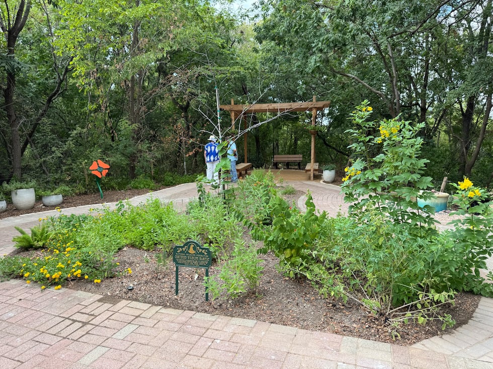 El renovado Jardín de Mariposas del Zoológico Cameron Park reabre para el fin de semana del...