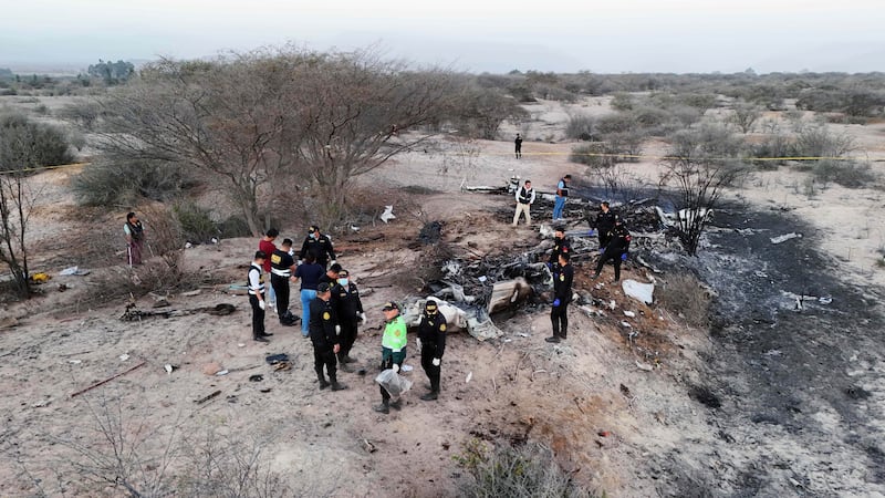 La policía inspecciona los restos de una avioneta que se estrelló durante un vuelo turístico...