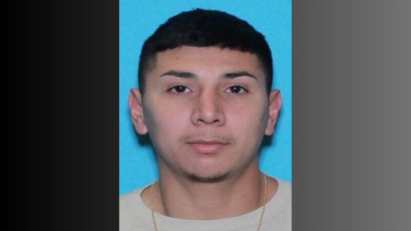 Luis Alberto Deleon Jr, 30