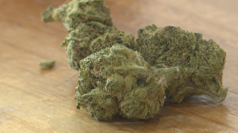 Abbott to sign THC ban bill before Sunday deadline