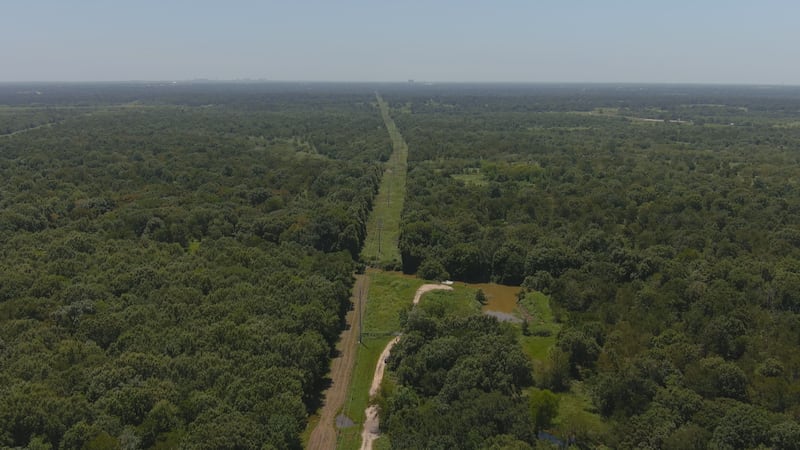 SpaceX’s Grimes County land holdings nearly double in just four days