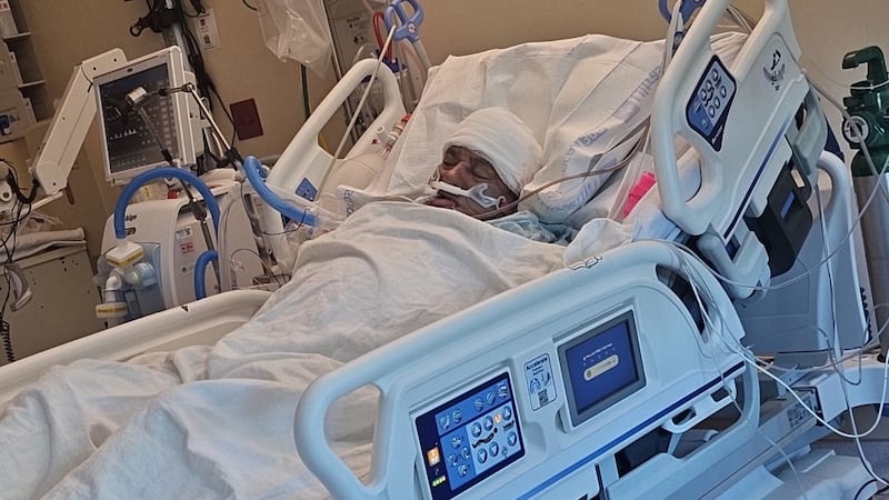 Felipe González está en el hospital tras sufrir el ataque de un perro.