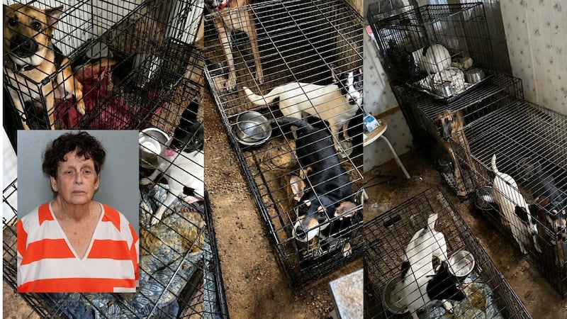 The Madison County Sheriff’s Office, with assistance from multiple partner agencies, executed...