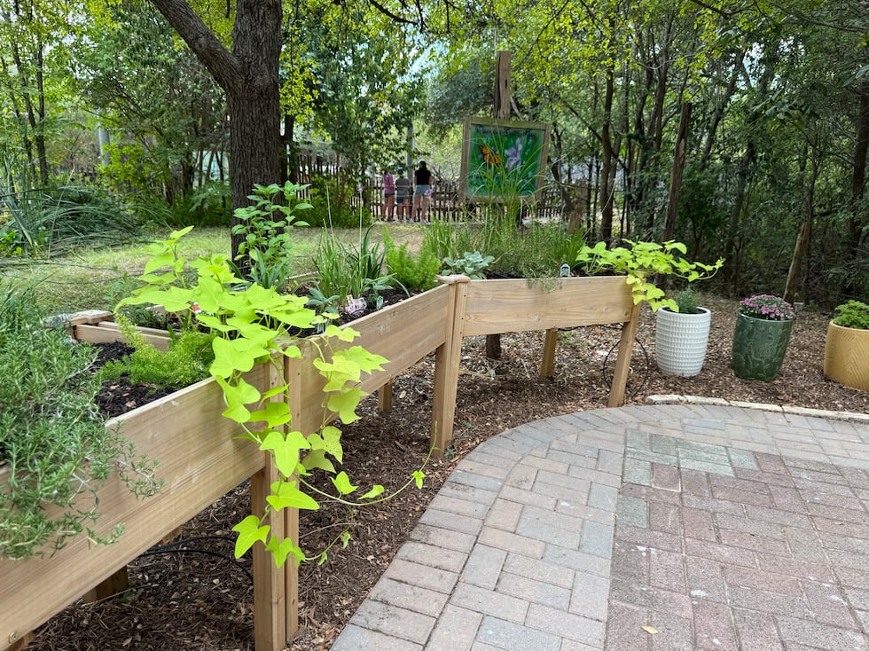 El renovado Jardín de Mariposas del Zoológico Cameron Park reabre para el fin de semana del...