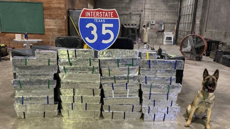 The Texas Department of Public Safety seized over 500 pounds of drugs in Central Texas during...