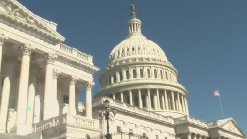 Local leaders are headed to the nation's capital this week with a message: the Brazos Valley...