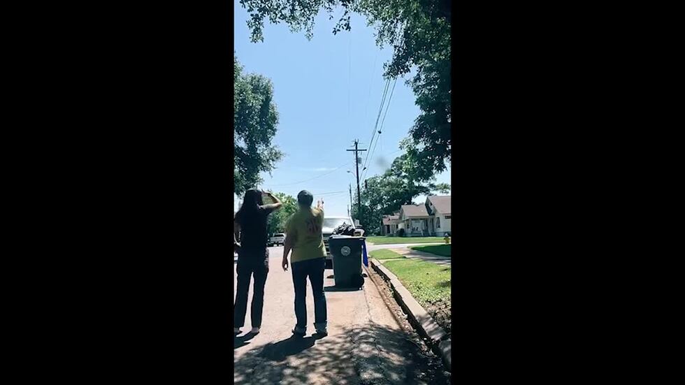Un gato fue asesinado y encontrado colgando de un tendido eléctrico de Waco.