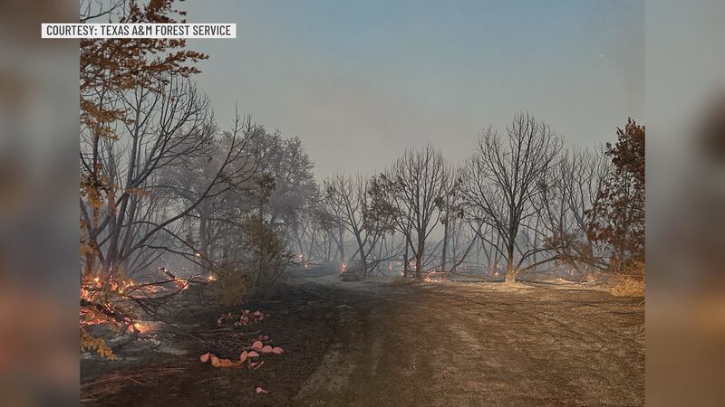 Hydra Fire Bosque County