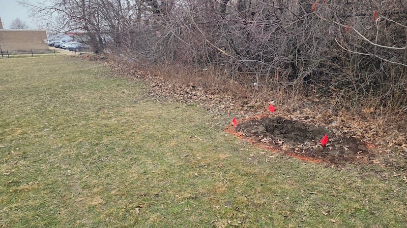 Police said both suitcases were partially buried in shallow graves.