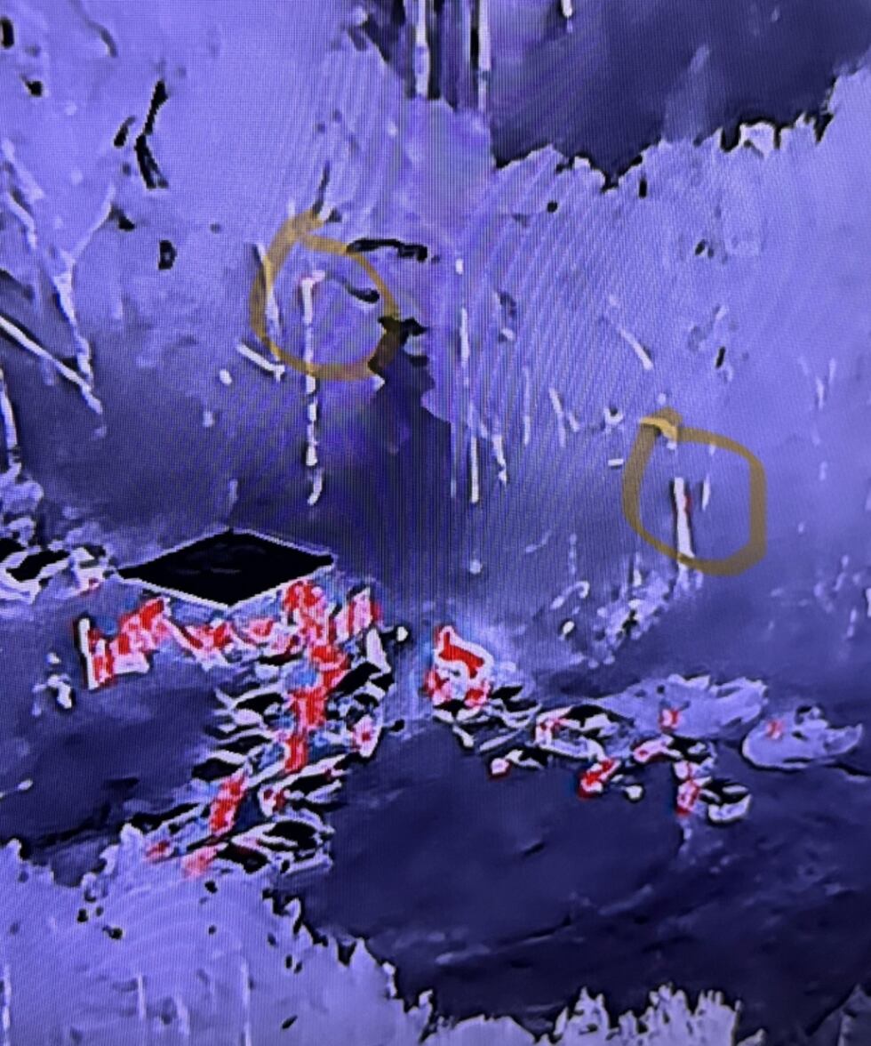 ‘Operativo Pitbull’: 45 personas son arrestadas después del desmantelamiento de un operativo...