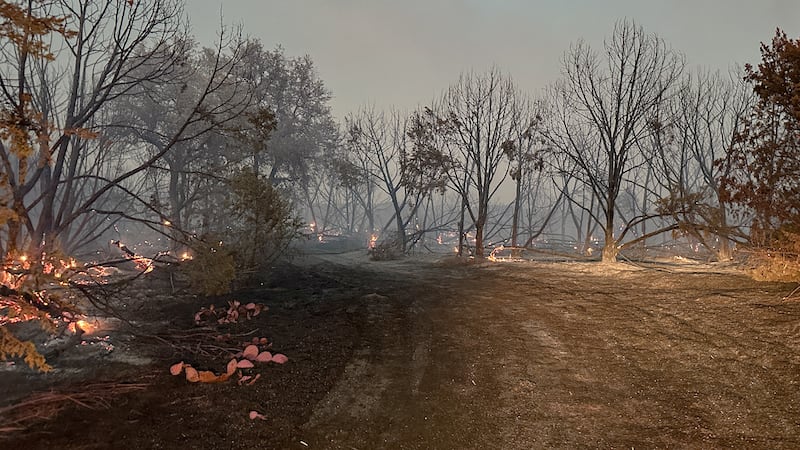 Emiten órdenes de evacuación obligatoria para Meridian debido al incendio Hydra.