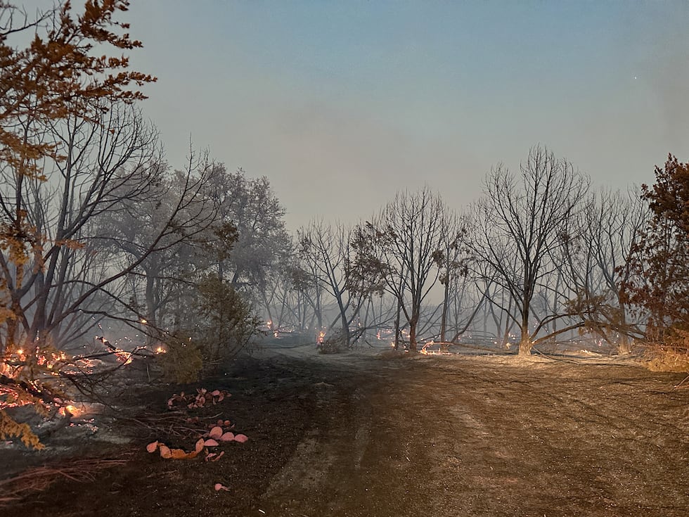 Emiten órdenes de evacuación obligatoria para Meridian debido al incendio Hydra.