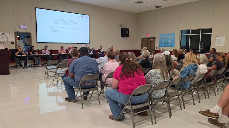 Iola ISD's school board approved four separate tax breaks for SpaceX's Terafab development in...