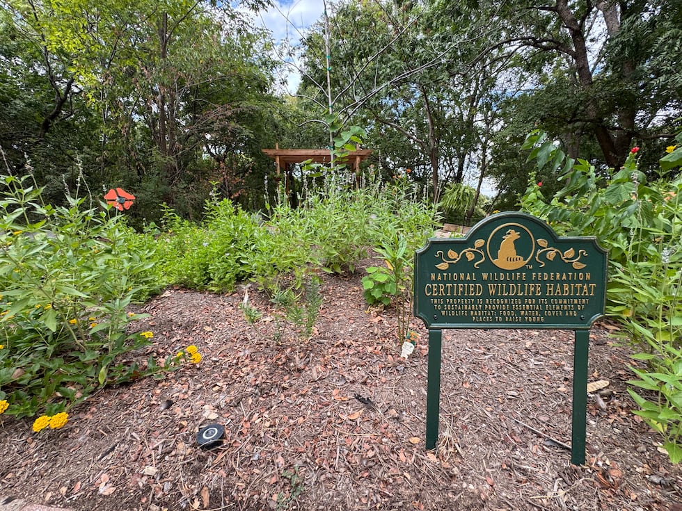 El renovado Jardín de Mariposas del Zoológico Cameron Park reabre para el fin de semana del...