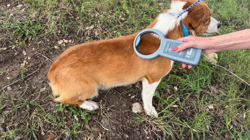 Human-Animal Support Coalition nonprofit installs city’s first public microchip scanner to...