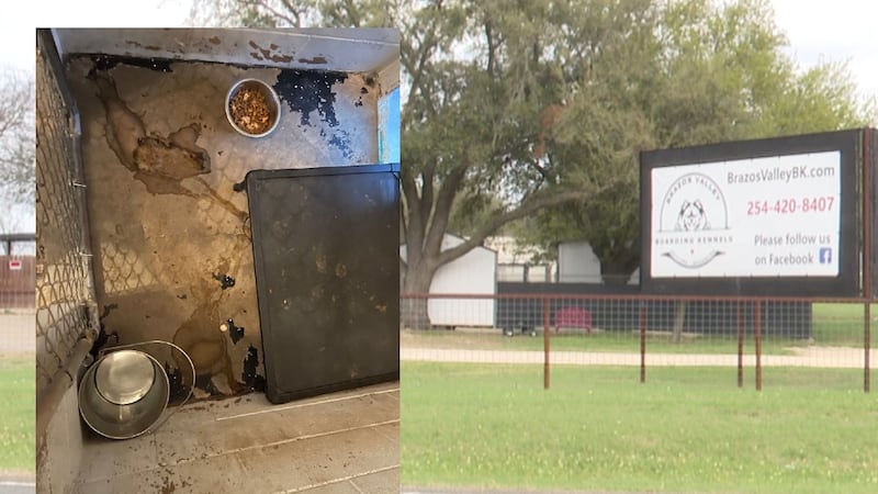Lorena animal rescue under fire after deplorable conditions inside facility are exposed