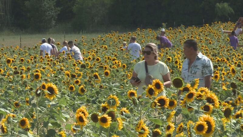 Western Belle Farms recibió a familias de militares en el Día Conmemorativo durante su...