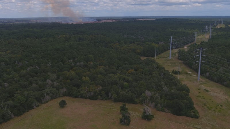 ‘I thought I had more time’: Grimes County man reacts to Terafab renderings
