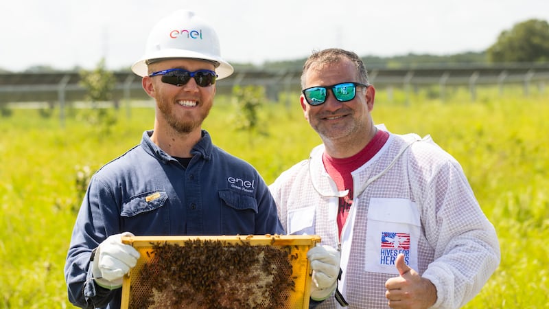 Nonprofit partners with solar farms to provide beekeeping therapy for veterans, first responders