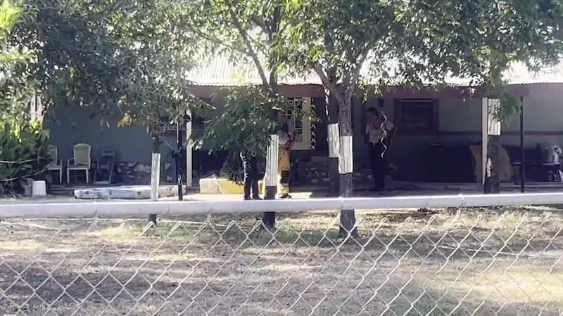 One in critical condition after Bell County stabbing, house fire; suspect in custody