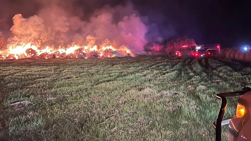 Hay bale, vegetation fire reported on FM 1146 at CR 385 amid burn ban