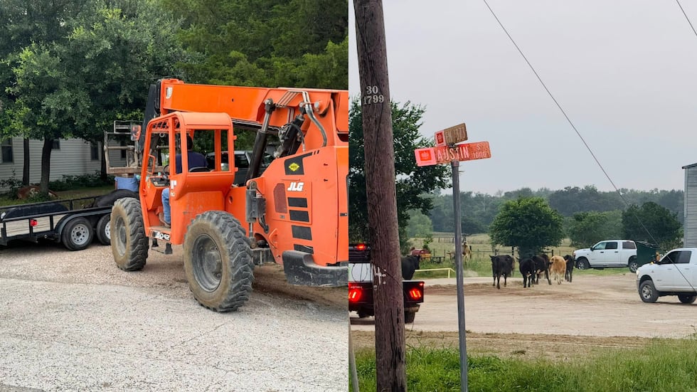 Una localidad de Texas se convierte en un corral de ganado después de que un camión de 18...