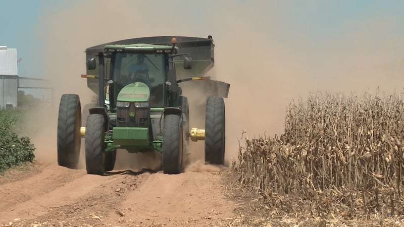 Texas farmers say rising fuel and fertilizer costs are cutting into profits and forcing...