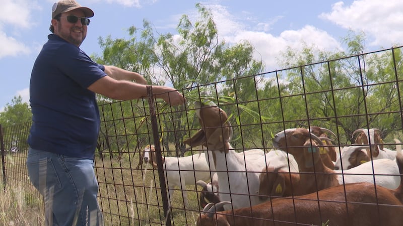 Temple rancher worries data center construction threatens family farm dating back to 1870s