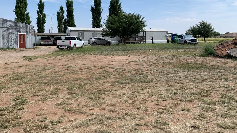 Una persona hospitalizada tras encontrarse con una infestación de abejas en hogar.