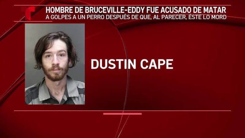Un hombre de Bruceville es acusado de matar a un perro, según la policía