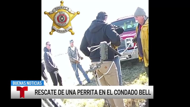 La Oficina del Sheriff del Condado de Bell rescata a un perro de 7 años atascado en un pozo