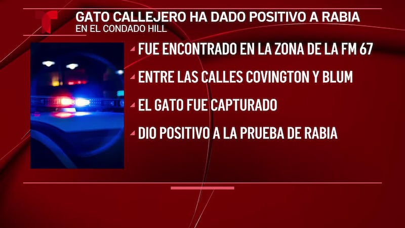 Una alerta de rabia es emitida en el condado de Hill, Texas, después de que se encontró a un...