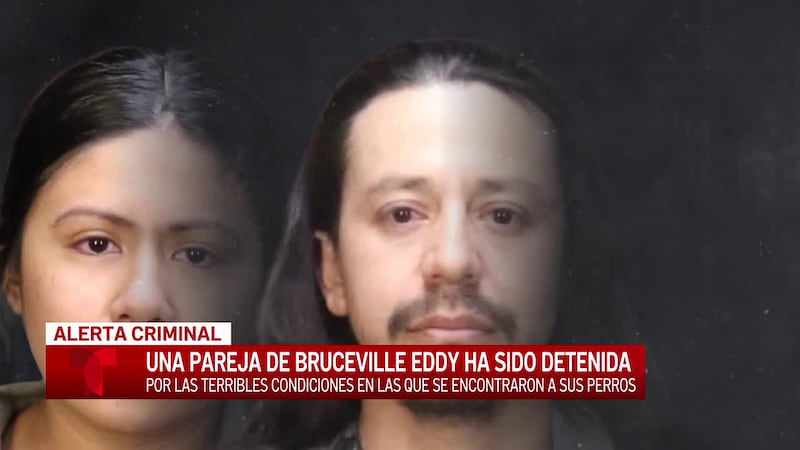 Un hombre y mujer son arrestados por crueldad animal después de que nueve Huskies fueran...