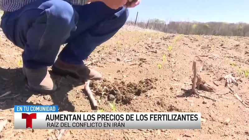 Los precios de los fertilizantes suben rápidamente en medio del conflicto en el Medio Oriente;...