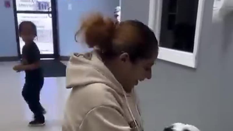 Perro encontrado como extraviado regresa con su familia tras dos años en Killeen