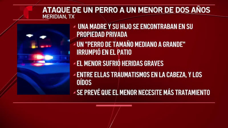 Un niño pequeño sufre lesiones graves tras un ataque de perro en Meridian, Texas