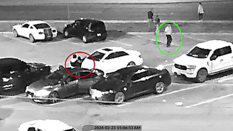 Un hombre de Georgetown se declara culpable de disparar un arma durante un altercado (KWTX)