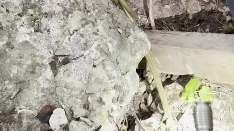 Oficiales de Woodway rescataron a un perrito chiquito atrapado en un túnel creado por un...