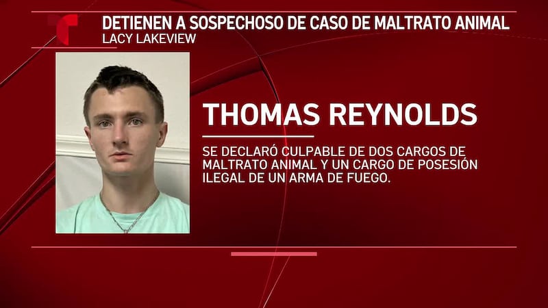 Delincuente del centro de Texas es captado brutalmente golpeando a un perro en imágenes de...